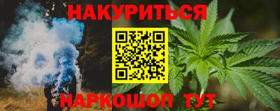 стафф Камышлов