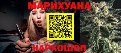 стафф Камышлов