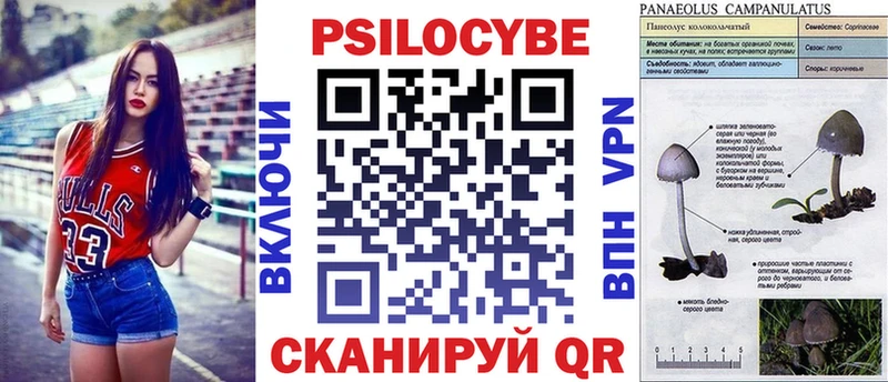 Галлюциногенные грибы Magic Shrooms  Краснодар 