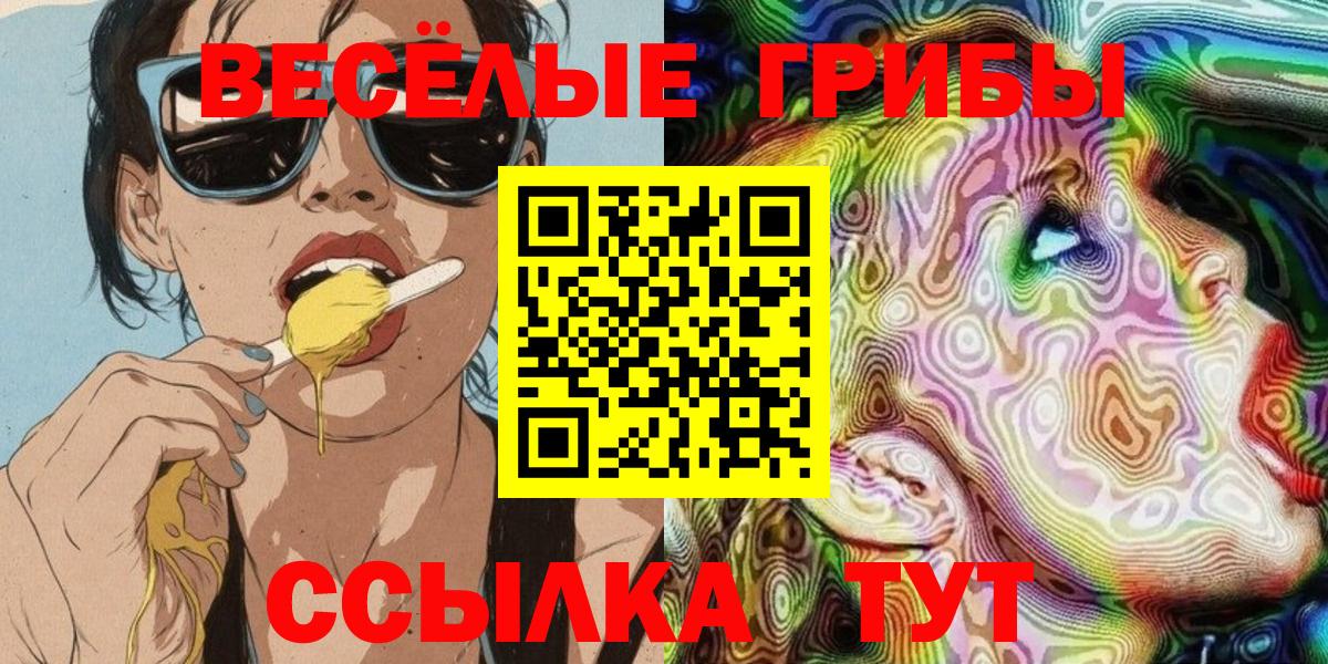 Псилоцибиновые грибы Psilocybine cubensis Краснодар