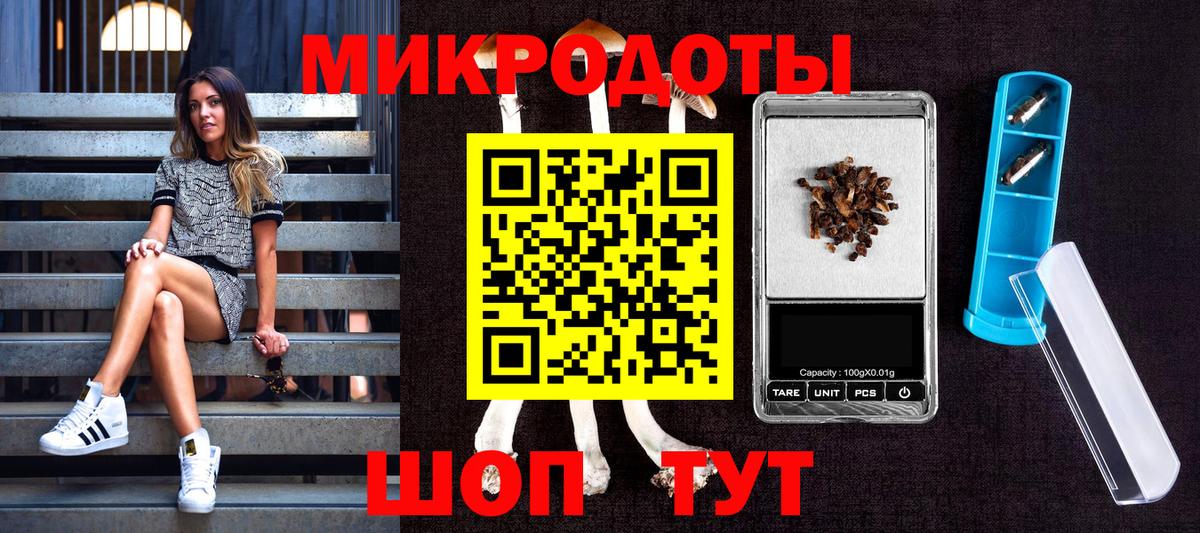 Псилоцибиновые грибы Psilocybine cubensis  Вход с VPN  Псилоцибиновые грибы GOLDEN TEACHER  Краснодар 